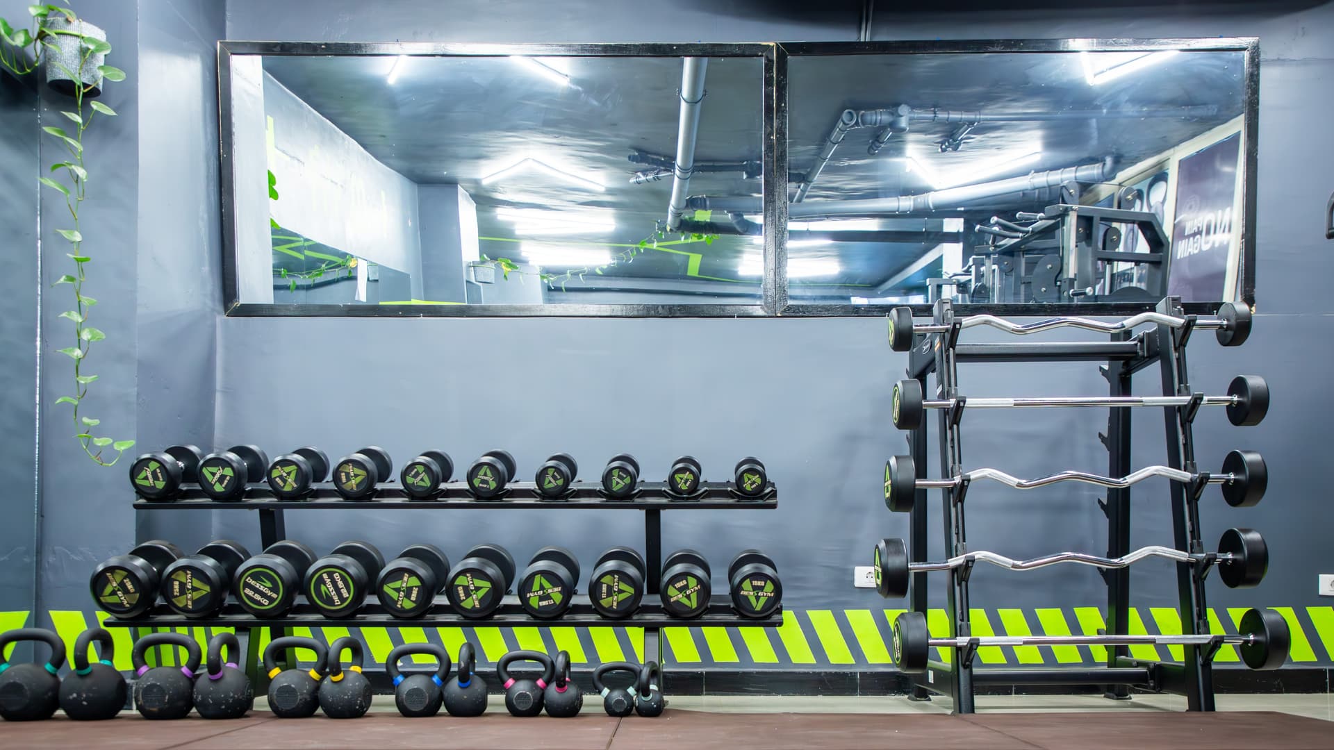 Connect Wellness gym