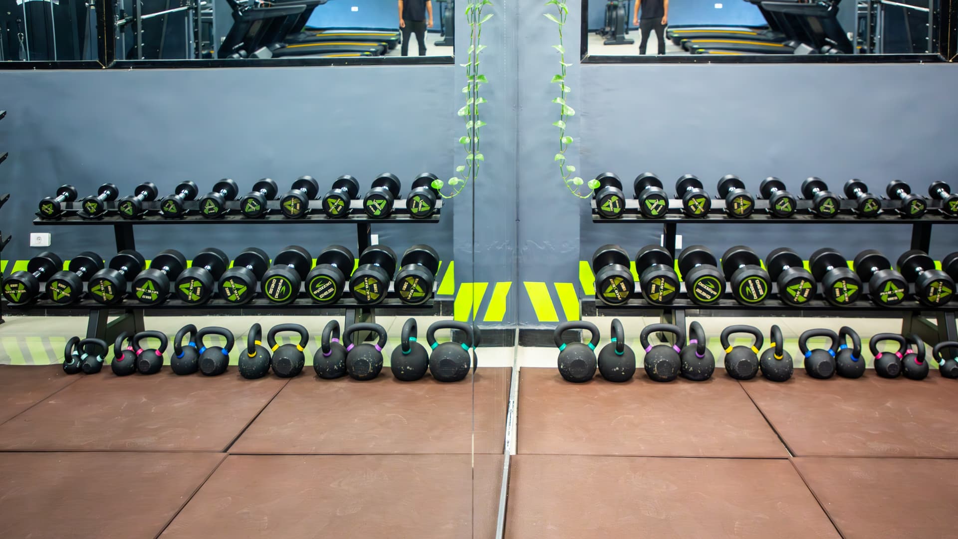 Connect Wellness gym
